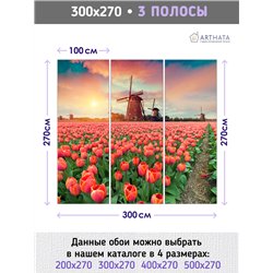 Фотообои тюльпаны на закате и мельница для кухни 300х270