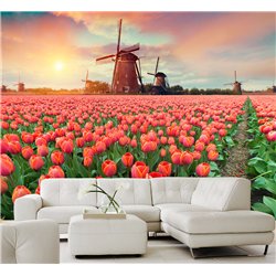 Фотообои тюльпаны на закате и мельница для кухни 300х270