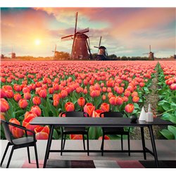 Фотообои тюльпаны на закате и мельница для кухни 300х270
