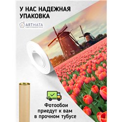 Фотообои тюльпаны на закате и мельница для кухни 300х270