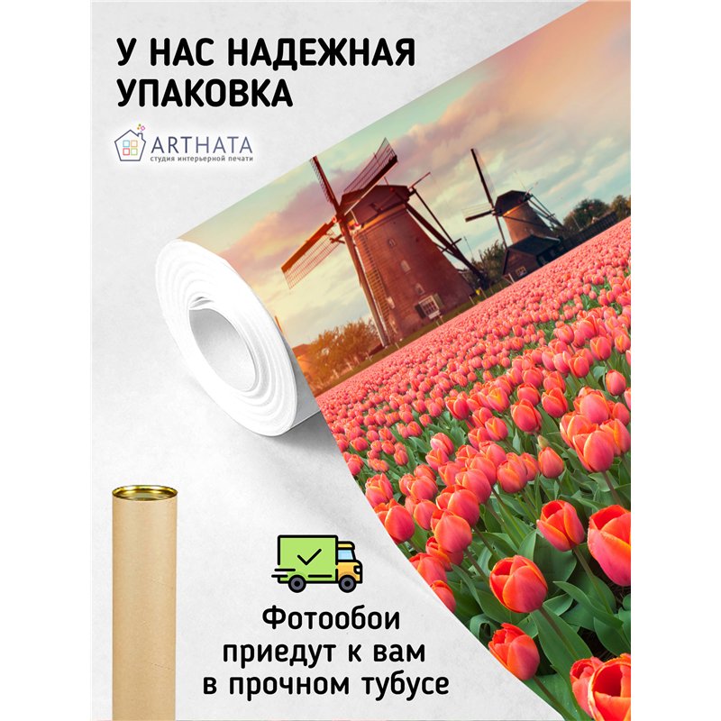 Фотообои тюльпаны на закате и мельница для кухни 300х270