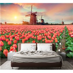 Фотообои тюльпаны на закате и мельница для кухни 300х270