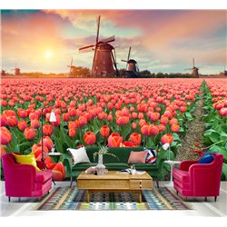 Фотообои тюльпаны на закате и мельница для кухни 300х270