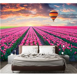 Фотообои воздушный шар и поле с тюльпанами в зал 500х270