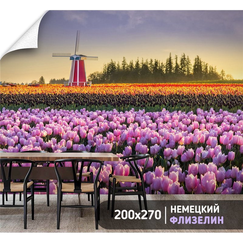 Фотообои тюльпаны на закате и мельница для кухни 200х270