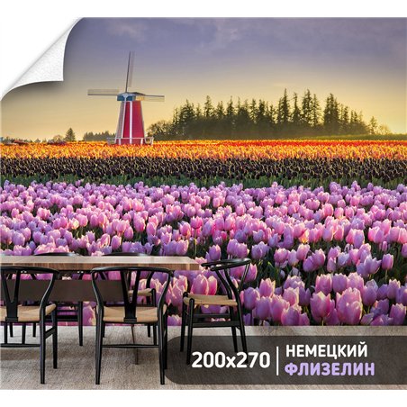 Фотообои тюльпаны на закате и мельница для кухни 200х270