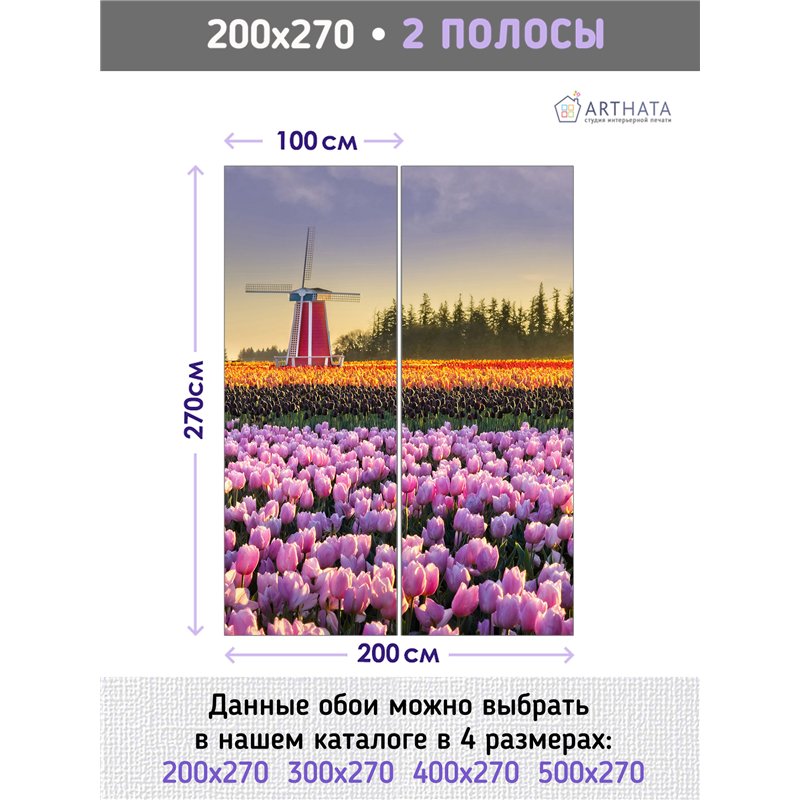 Фотообои тюльпаны на закате и мельница для кухни 200х270