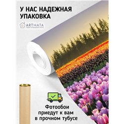 Фотообои тюльпаны на закате и мельница для кухни 200х270