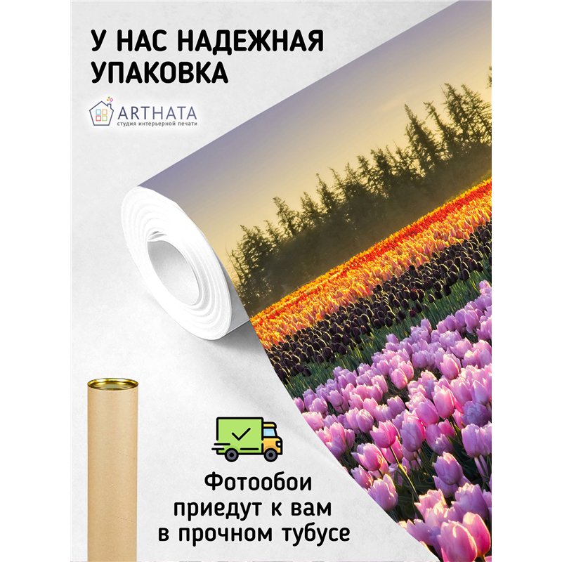Фотообои тюльпаны на закате и мельница для кухни 200х270