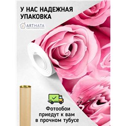 Фотообои с бутонами роз для зала влагостойкие 500х270