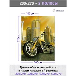 Фотообои мотоцикл на фоне города для зала метровые 200х270