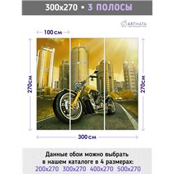 Фотообои с мотоциклом на фоне города в коридор 300х270