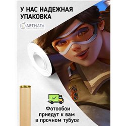 Фотообои детские 3д покемон Пикачу 400x270