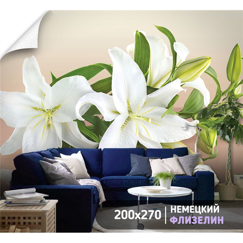 Фотообои белые лилии на бежевом фоне для кухни 200х270