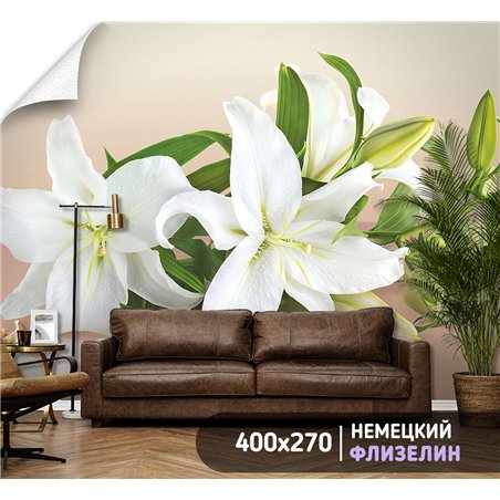Фотообои с цветами лилиями на кухню влагостойкие 400х270