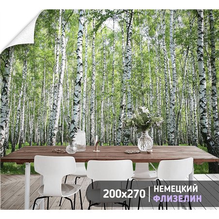 Фотообои березовая роща на кухню 200х270