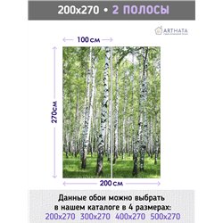 Фотообои березовая роща на кухню 200х270