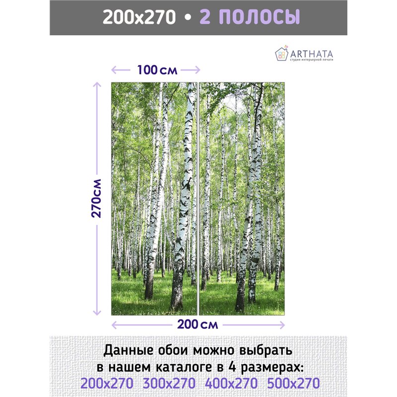 Фотообои березовая роща на кухню 200х270