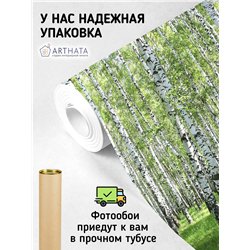 Фотообои березовая роща на кухню 200х270
