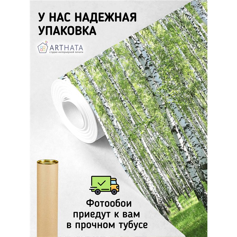 Фотообои березовая роща на кухню 200х270