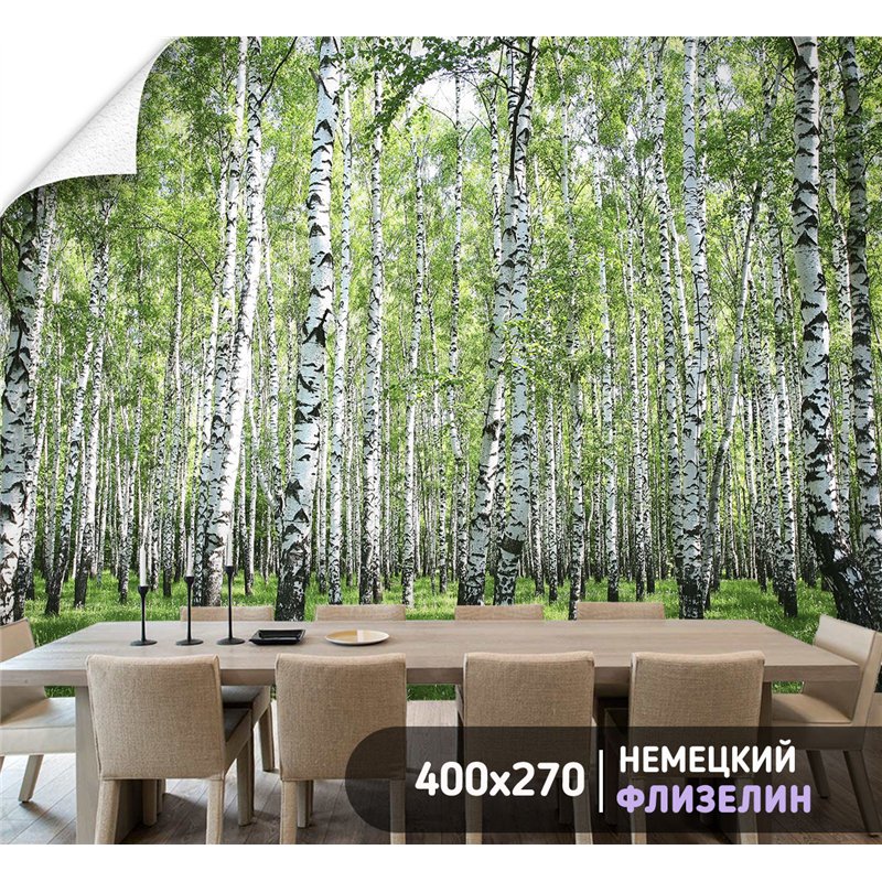 Фотообои с березами для кухни метровые флизелиновые 400х270