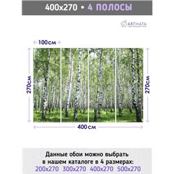 Фотообои с березами для кухни метровые флизелиновые 400х270