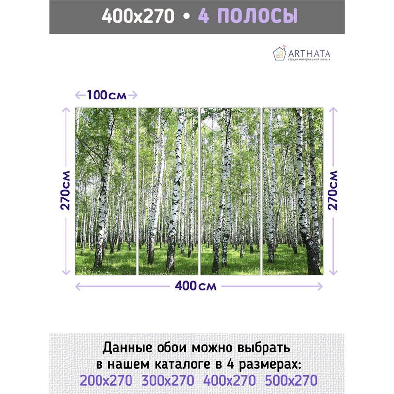 Фотообои с березами для кухни метровые флизелиновые 400х270