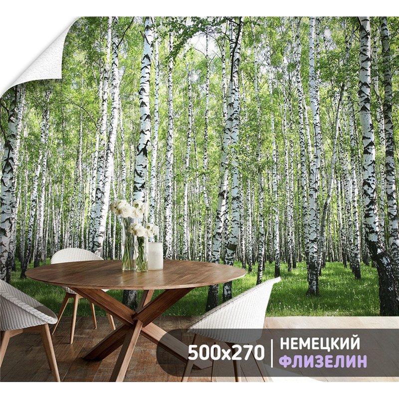 Фотообои березовый лес в зал флизелиновые метровые 500х270