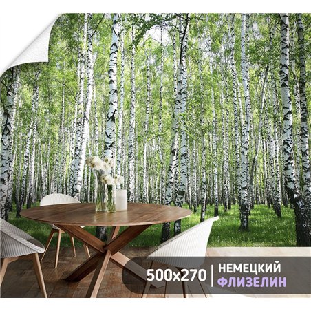 Фотообои березовый лес в зал флизелиновые метровые 500х270