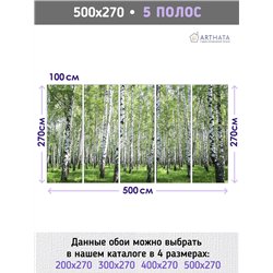Фотообои березовый лес в зал флизелиновые метровые 500х270