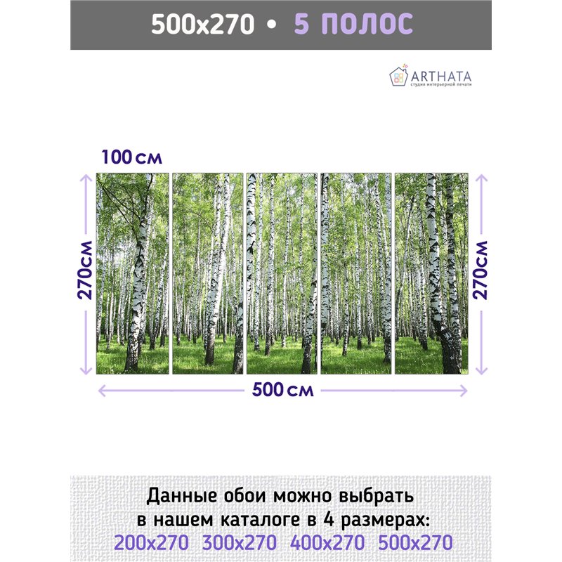 Фотообои березовый лес в зал флизелиновые метровые 500х270