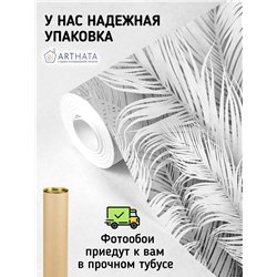 Фотообои белые перья на сером фоне для спальни 300х270