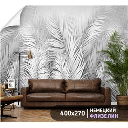 Фотообои белый листья пальмы для зала метровые 400х270