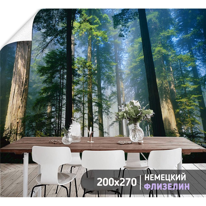 Фотообои сосновый лес в солнечных лучах на кухню 200х270