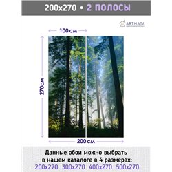 Фотообои сосновый лес в солнечных лучах на кухню 200х270