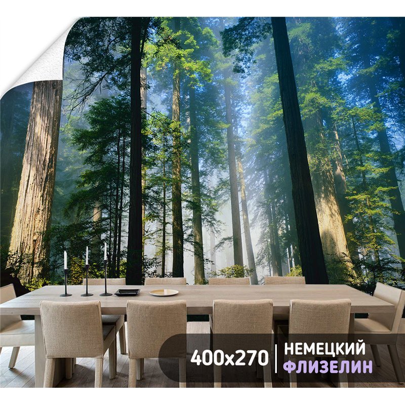 Фотообои стволы деревьев в солнечном свете в кухню 400х270