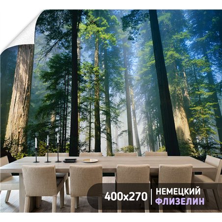Фотообои стволы деревьев в солнечном свете в кухню 400х270