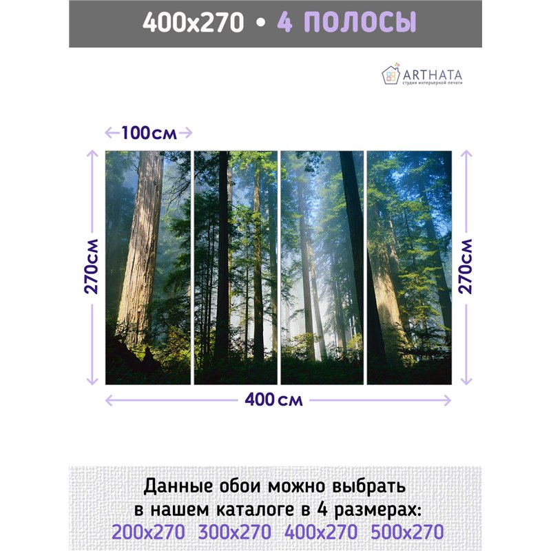Фотообои стволы деревьев в солнечном свете в кухню 400х270