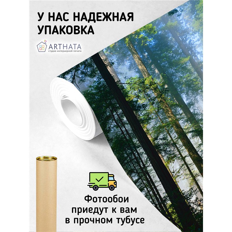 Фотообои стволы деревьев в солнечном свете в кухню 400х270