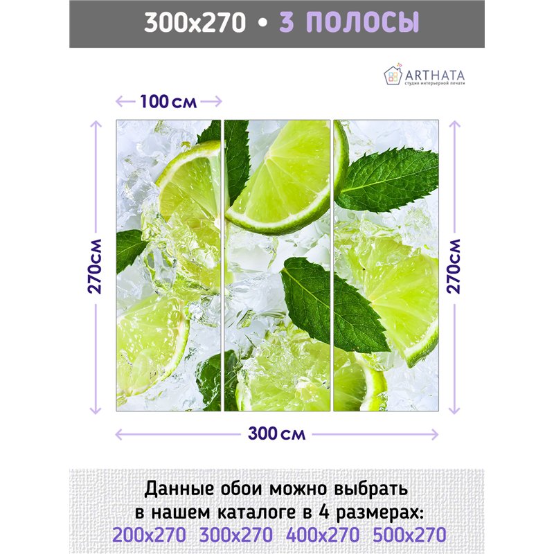 Фотообои зеленый лайм со льдом в зал 300х270