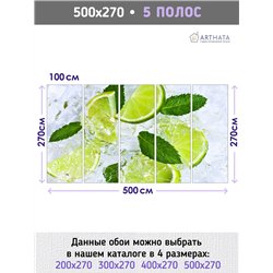 Фотообои дольки лайма в воде со льдом в зал 500х270