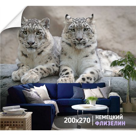 Фотообои два снежных барса лежат на камне на кухню 200х270