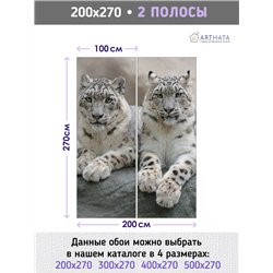 Фотообои два снежных барса лежат на камне на кухню 200х270