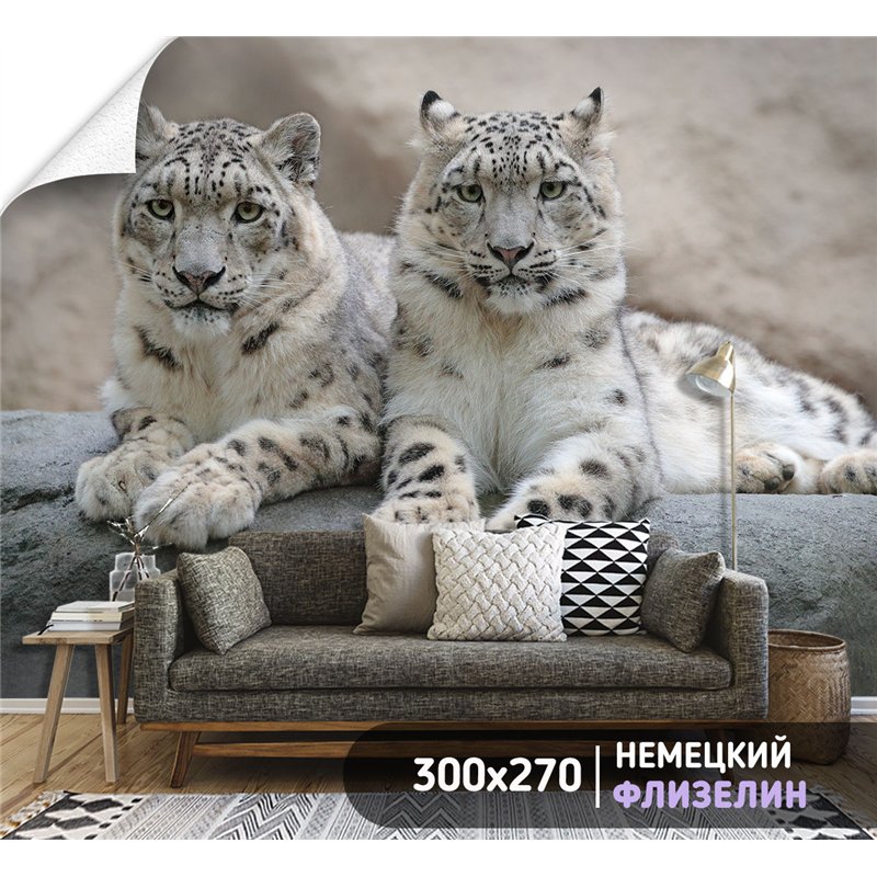 Фотообои снежные барсы на камне в спальню метровые 300х270