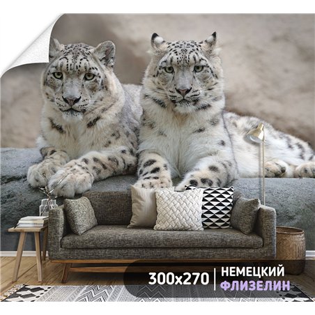 Фотообои снежные барсы на камне в спальню метровые 300х270