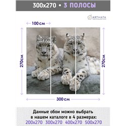 Фотообои снежные барсы на камне в спальню метровые 300х270
