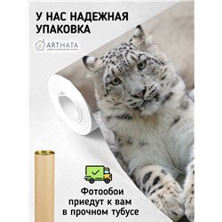 Фотообои снежные барсы на камне в спальню метровые 300х270