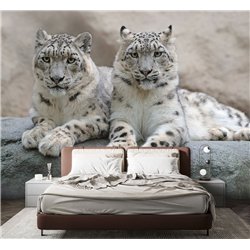 Фотообои снежные барсы на камне в спальню метровые 300х270