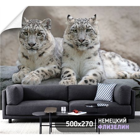 Фотообои снежные барсы на камне для спальни 500х270