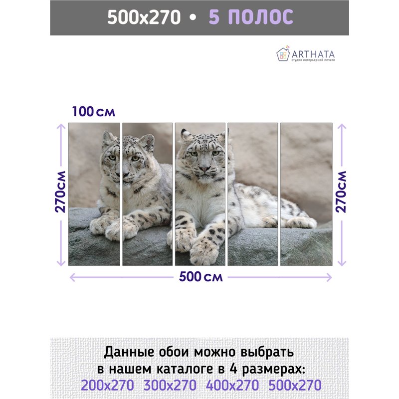 Фотообои снежные барсы на камне для спальни 500х270